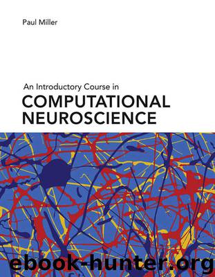 An Introductory Course in Computational Neuroscience (Computational Neuroscience Series) by Paul Miller