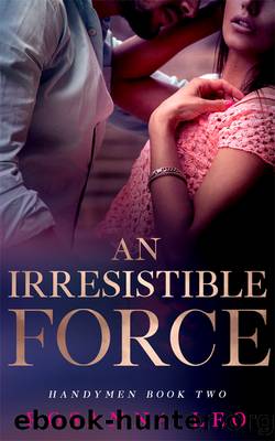 An Irresistible Force by Rosanna Leo
