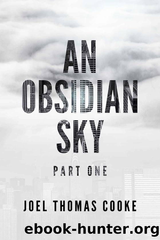 An Obsidian Sky 1 by Joel Cooke