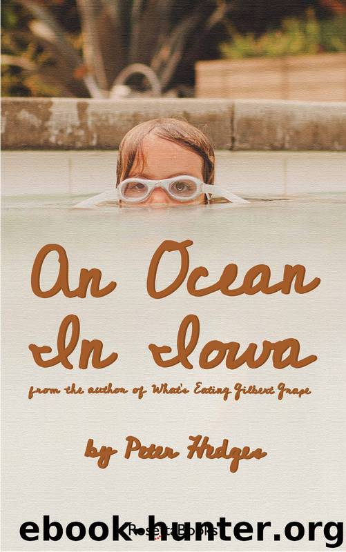An Ocean in Iowa by Peter Hedges