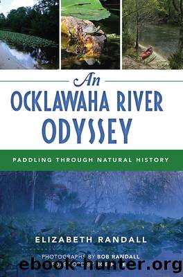 An Ocklawaha River Odyssey by Randall Elizabeth;Randall Bob;Lee Bob H.;