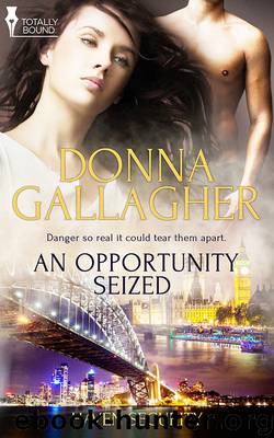 An Opportunity Seized by Donna Gallagher