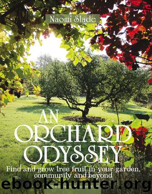 An Orchard Odyssey by Naomi Slade