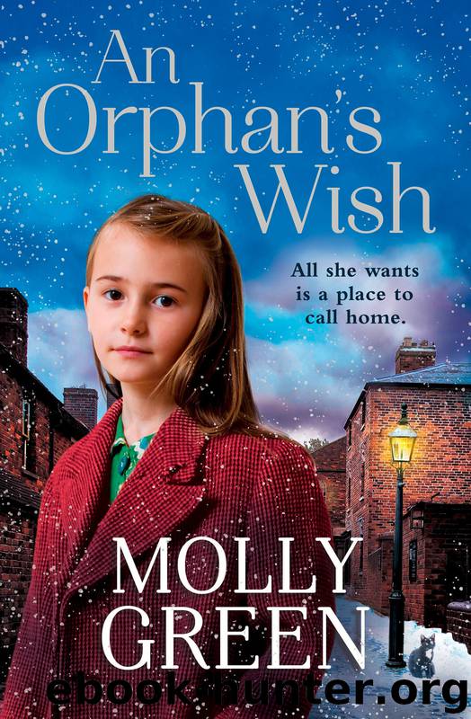 An Orphan's Wish by Molly Green