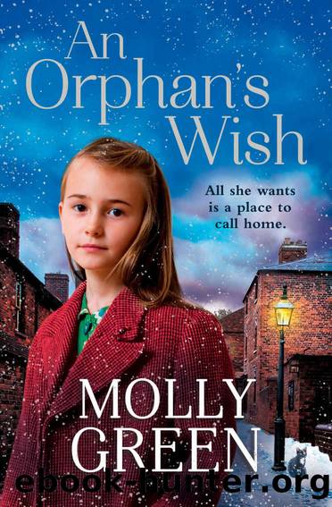 An Orphan’s Wish: The new, most heartwarming historical fiction novel you will read this year by Molly Green