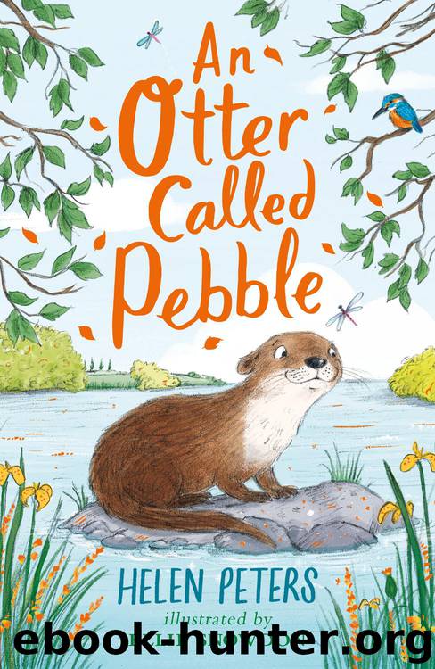 An Otter Called Pebble by Helen Peters