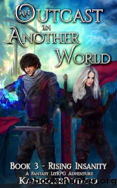 An Outcast in Another World 3: A Fantasy LitRPG Adventure (Book 3 - Rising Insanity) by KamikazePotato