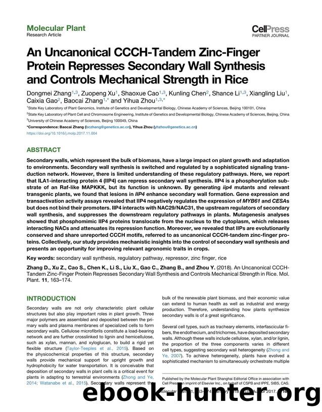 An Uncanonical CCCH-Tandem Zinc-Finger Protein Represses Secondary Wall Synthesis and Controls Mechanical Strength in Rice by unknow