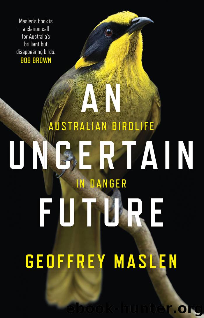 An Uncertain Future by Geoffrey Maslen