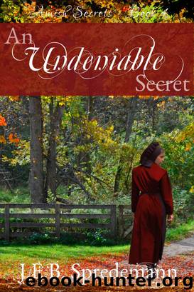An Undeniable Secret (Amish Secrets--Book 4) by J.E.B. Spredemann