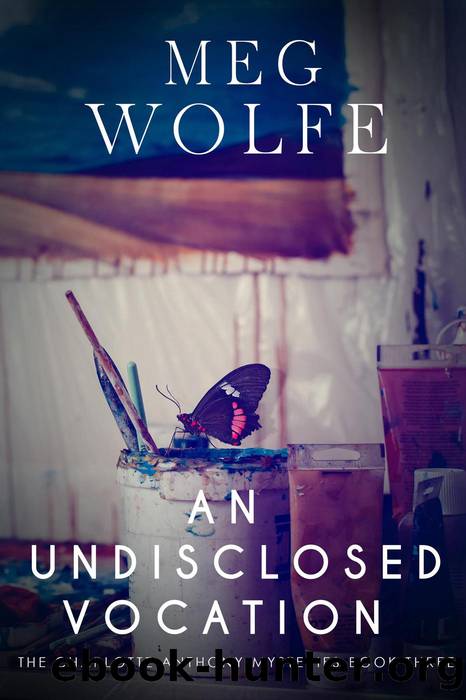 An Undisclosed Vocation by Meg Wolfe