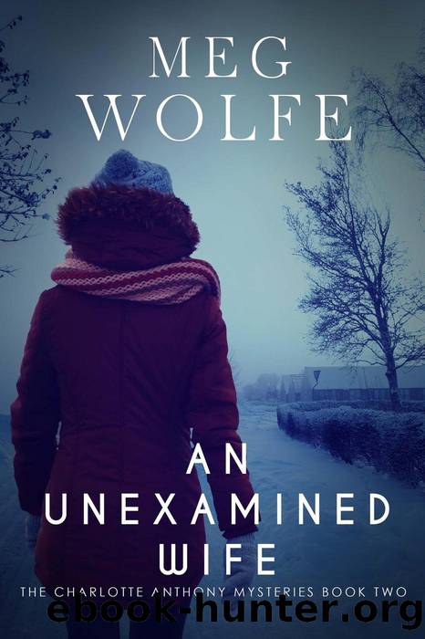 An Unexamined Wife by Meg Wolfe