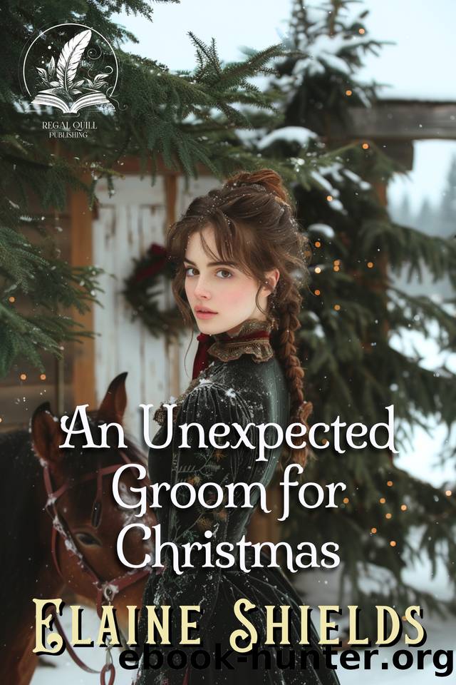 An Unexpected Groom for Christmas: A Historical Western Romance Novel by Shields Elaine