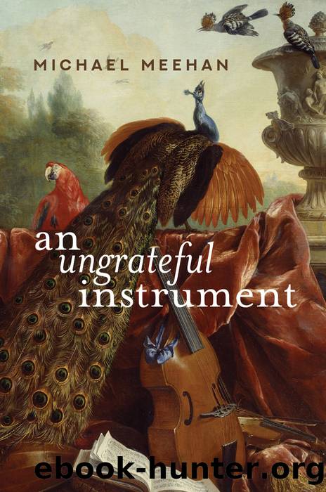 An Ungrateful Instrument by Michael Meehan