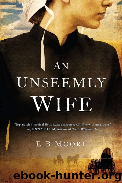 An Unseemly Wife by E.B. Moore