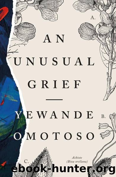 An Unusual Grief by Yewande Omotoso