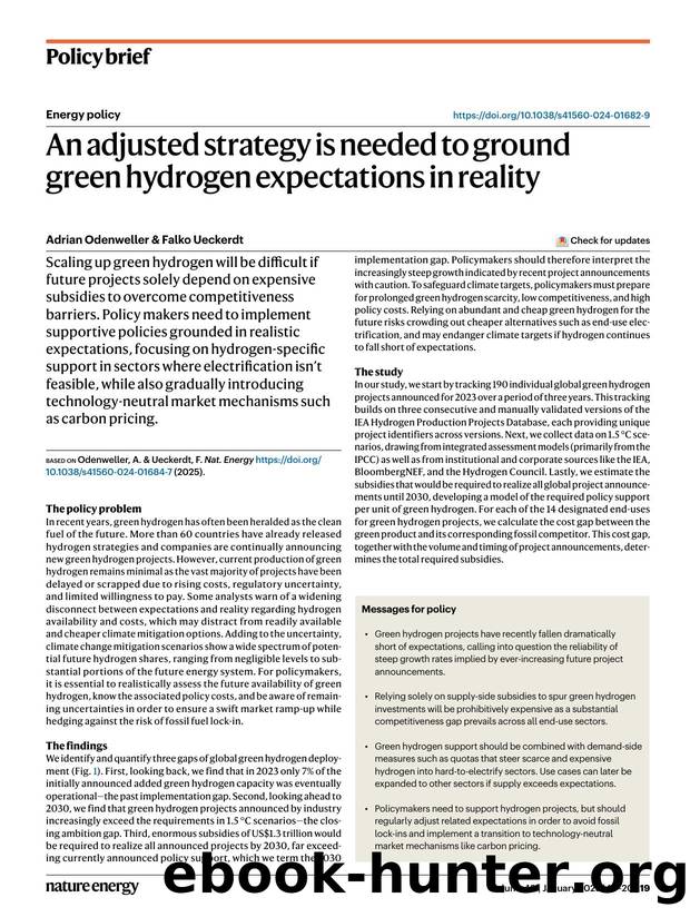 An adjusted strategy is needed to ground green hydrogen expectations in reality by Adrian Odenweller & Falko Ueckerdt