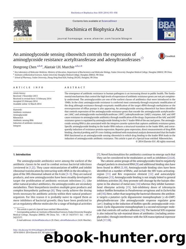An aminoglycoside sensing riboswitch controls the expression of aminoglycoside resistance acetyltransferase and adenyltransferases by Dongrong Chen & Alastair I.H. Murchie