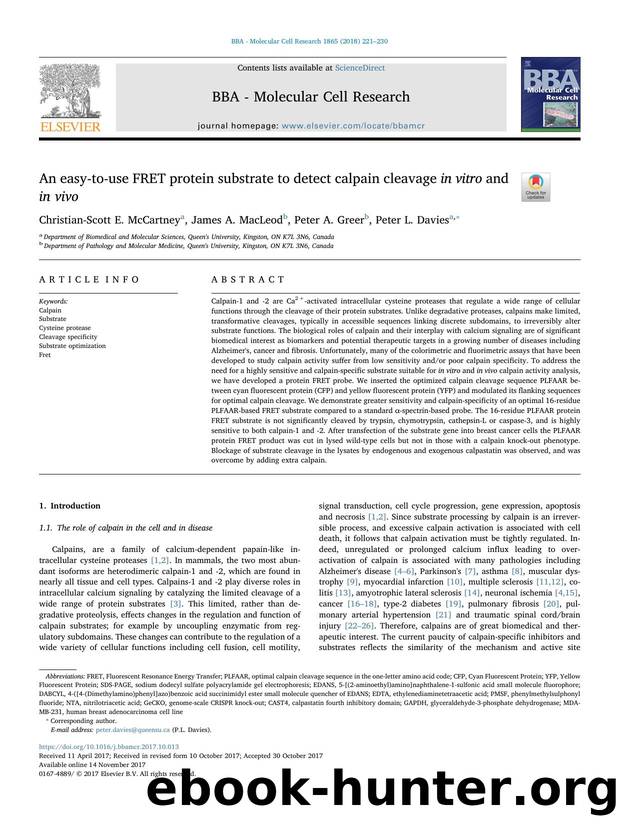 An easy-to-use FRET protein substrate to detect calpain cleavage in vitro and in vivo by Christian-Scott E. McCartney & James A. MacLeod & Peter A. Greer & Peter L. Davies