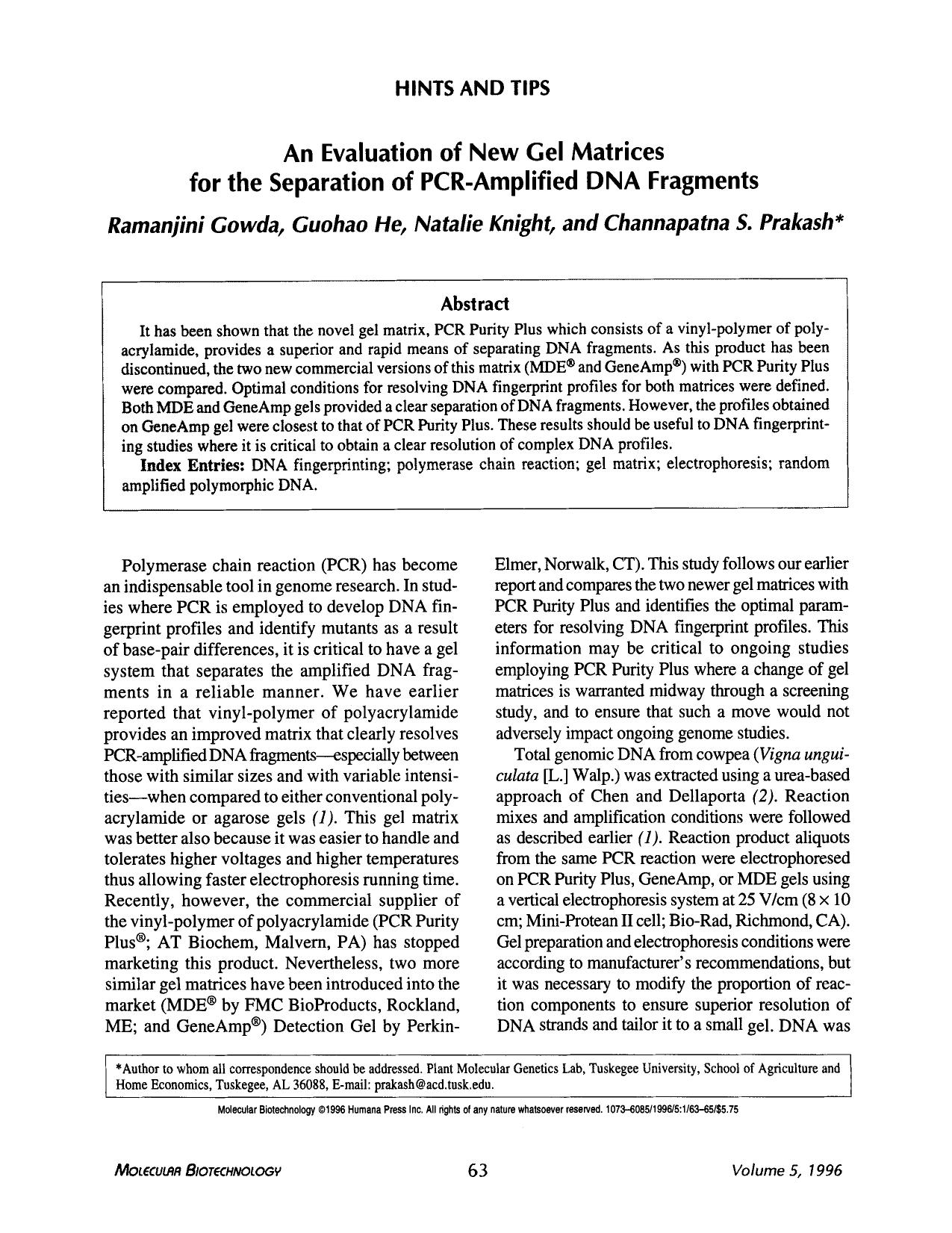 An evaluation of new gel matrices for the separation of PCR-amplified DNA fragments by Unknown