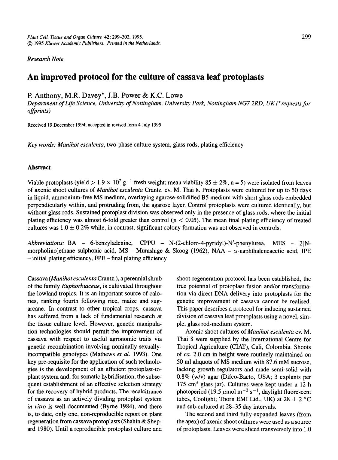 An improved protocol for the culture of cassava leaf protoplasts by Unknown