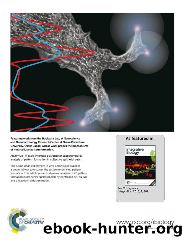 An in vitro–in silico interface platform for spatiotemporal analysis of pattern formation in collective epithelial cells by M. Hagiwara