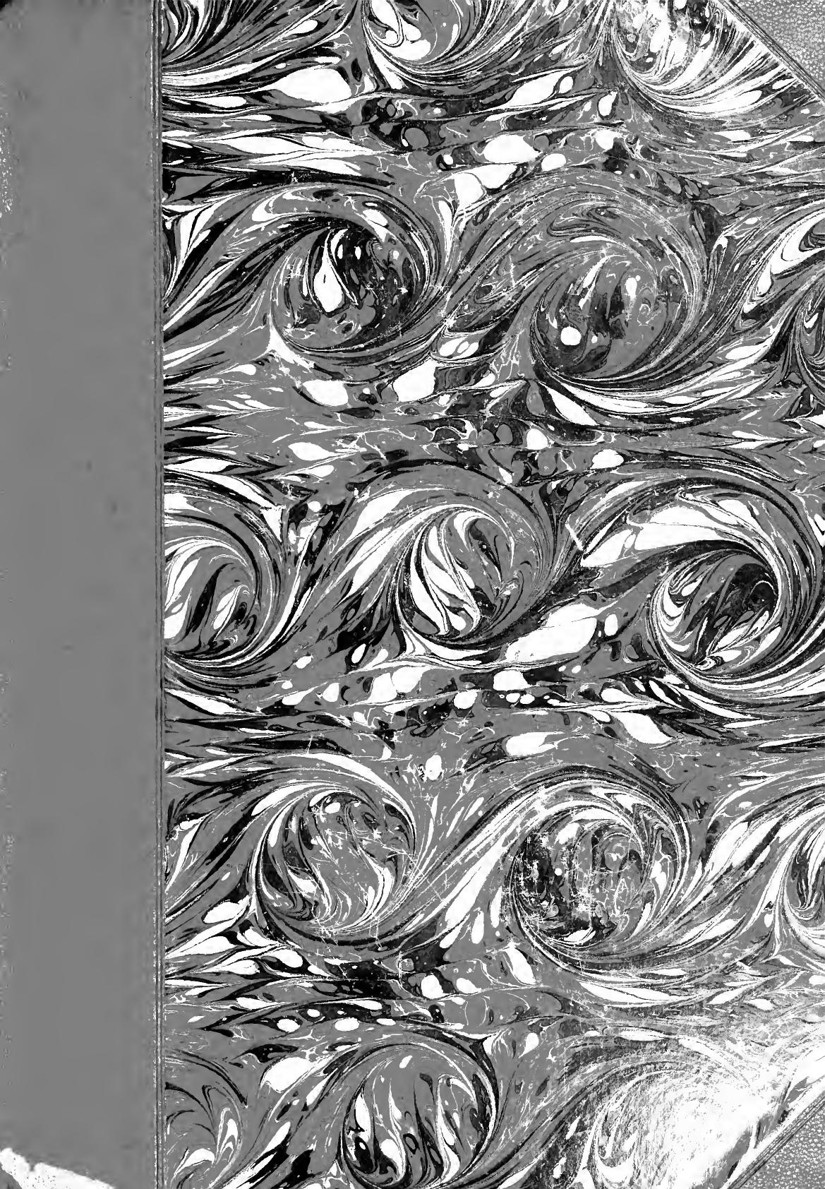 An inquiry into the origin and early history of engraving : upon copper and in wood, with an account of engravers and their works, from the invention of chalcography by Maso Finigu by Ottley William Young 1771-1836