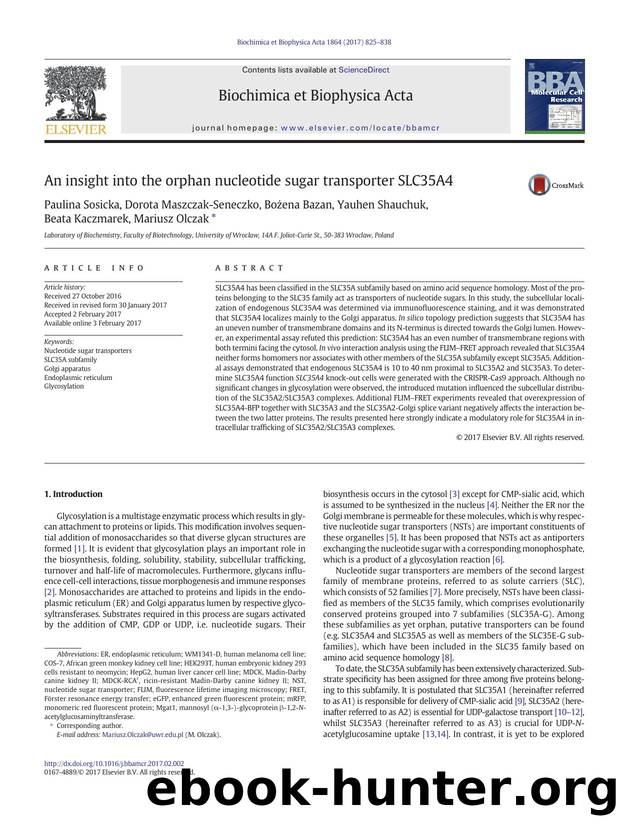An insight into the orphan nucleotide sugar transporter SLC35A4 by unknow