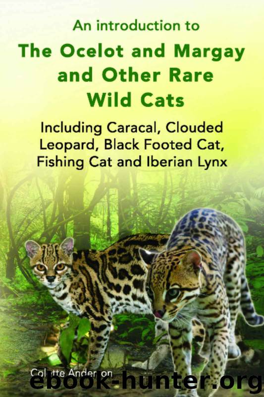 An introduction to The Ocelot and Margay And Other Rare Wild Cats Including Caracal, Clouded Leopard, Black Footed Cat, Fishing Cat and Iberian Lynx by Colette Anderson