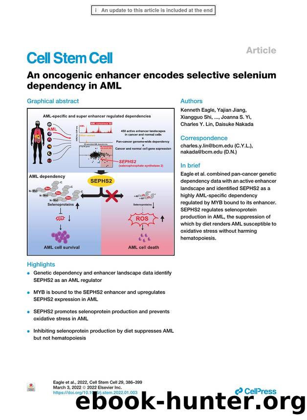 An oncogenic enhancer encodes selective selenium dependency in AML by unknow