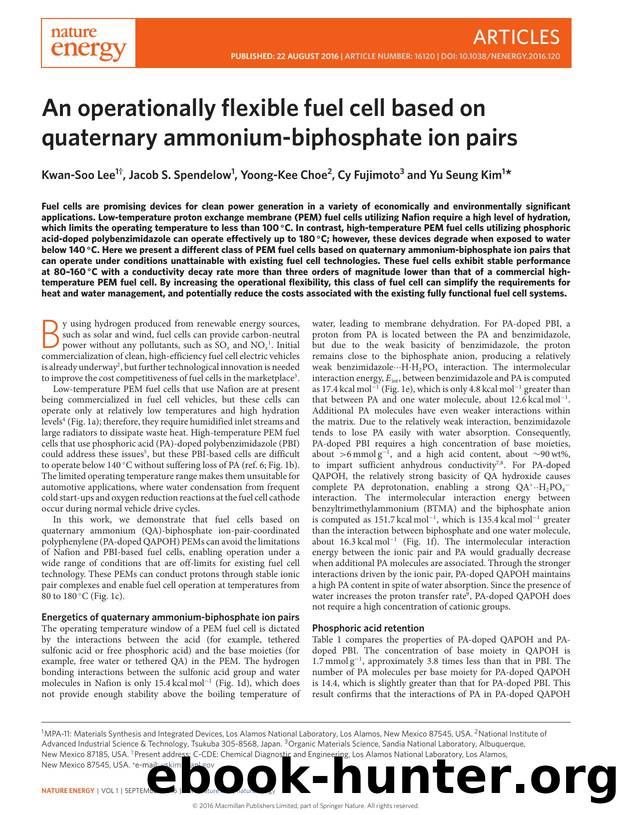 An operationally flexible fuel cell based on quaternary ammonium-biphosphate ion pairs by Kwan-Soo Lee; Jacob S. Spendelow; Yoong-Kee Choe; Cy Fujimoto; Yu Seung Kim