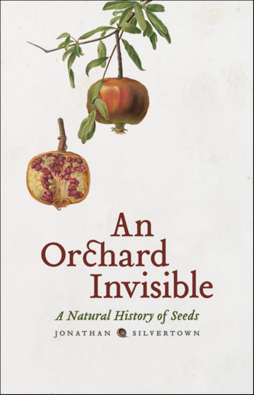 An orchard invisible: a natural history of seeds by Silvertown Jonathan W.;Whitesides Amy