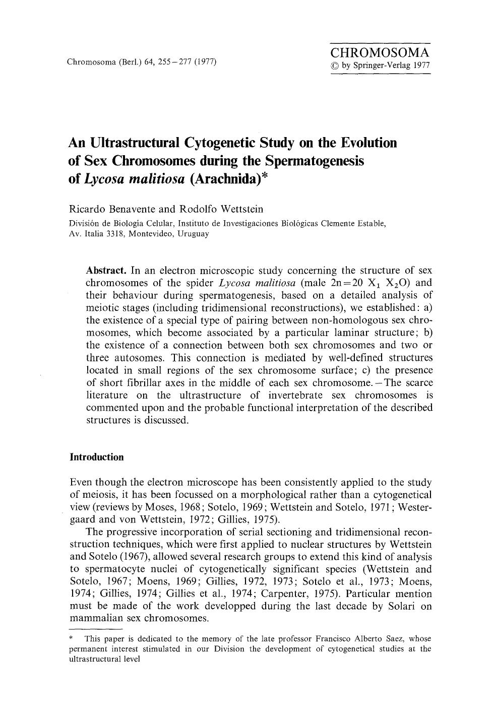 An ultrastructural cytogenetic study on the evolution of sex chromosomes during the spermatogenesis of <Emphasis Type="Italic">Lycosa malitiosa<Emphasis> (Arachnida) by Unknown