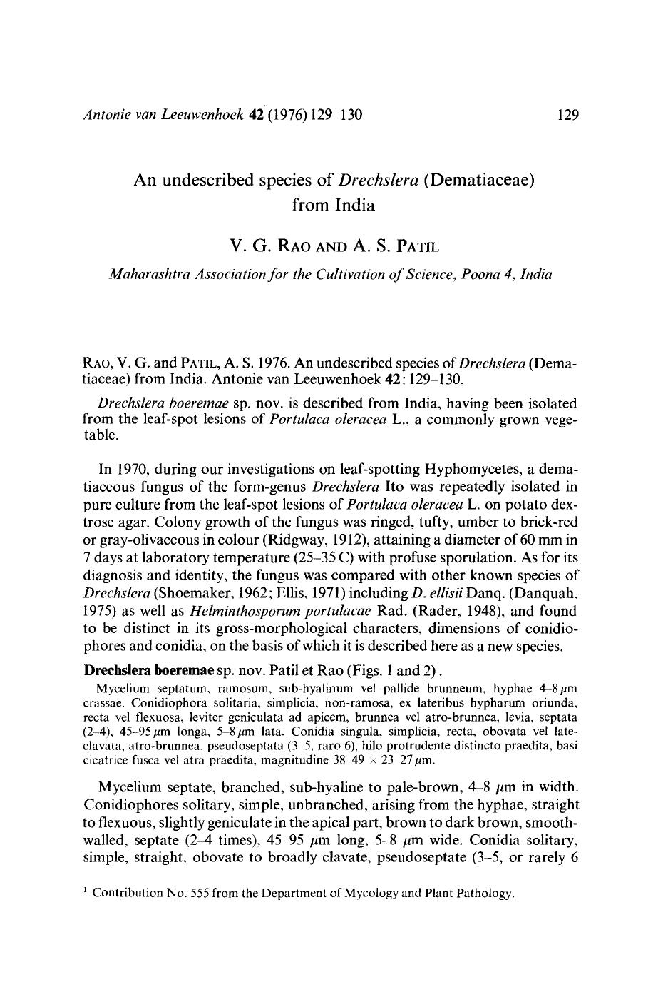 An undescribed species of <Emphasis Type="Italic">Drechslera<Emphasis> (Dematiaceae) from India by Unknown