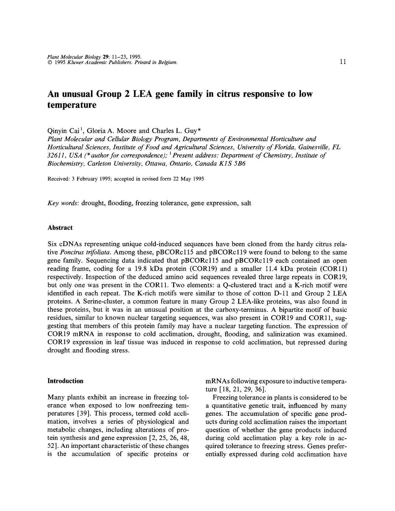 An unusual Group 2 LEA gene family in citrus responsive to low temperature by Unknown
