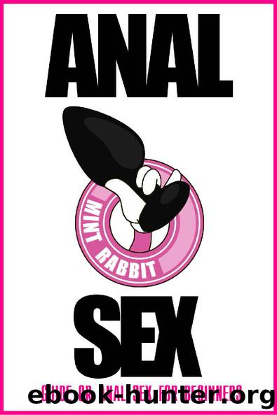 Anal Sex Guide : Anal Sex for Beginners by MINT RABBIT