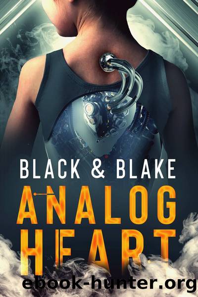 Analog Heart by Avery Blake & Avery Blake