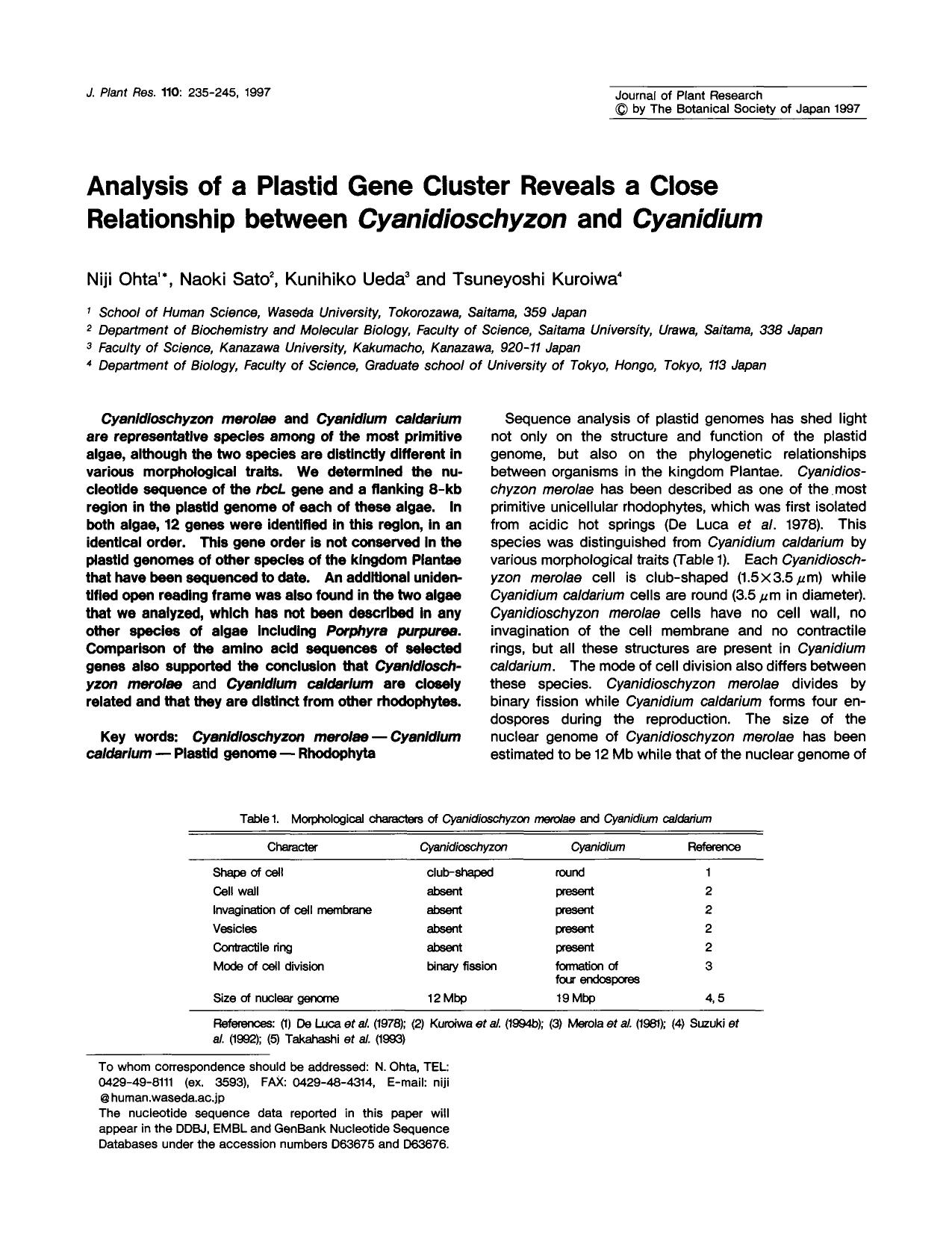 Analysis of a plastid gene cluster reveals a close relationship between <Emphasis Type="Italic">Cyanidioschyzon <Emphasis> and <Emphasis Type="Italic">Cyanidium <Emphasis> by Unknown
