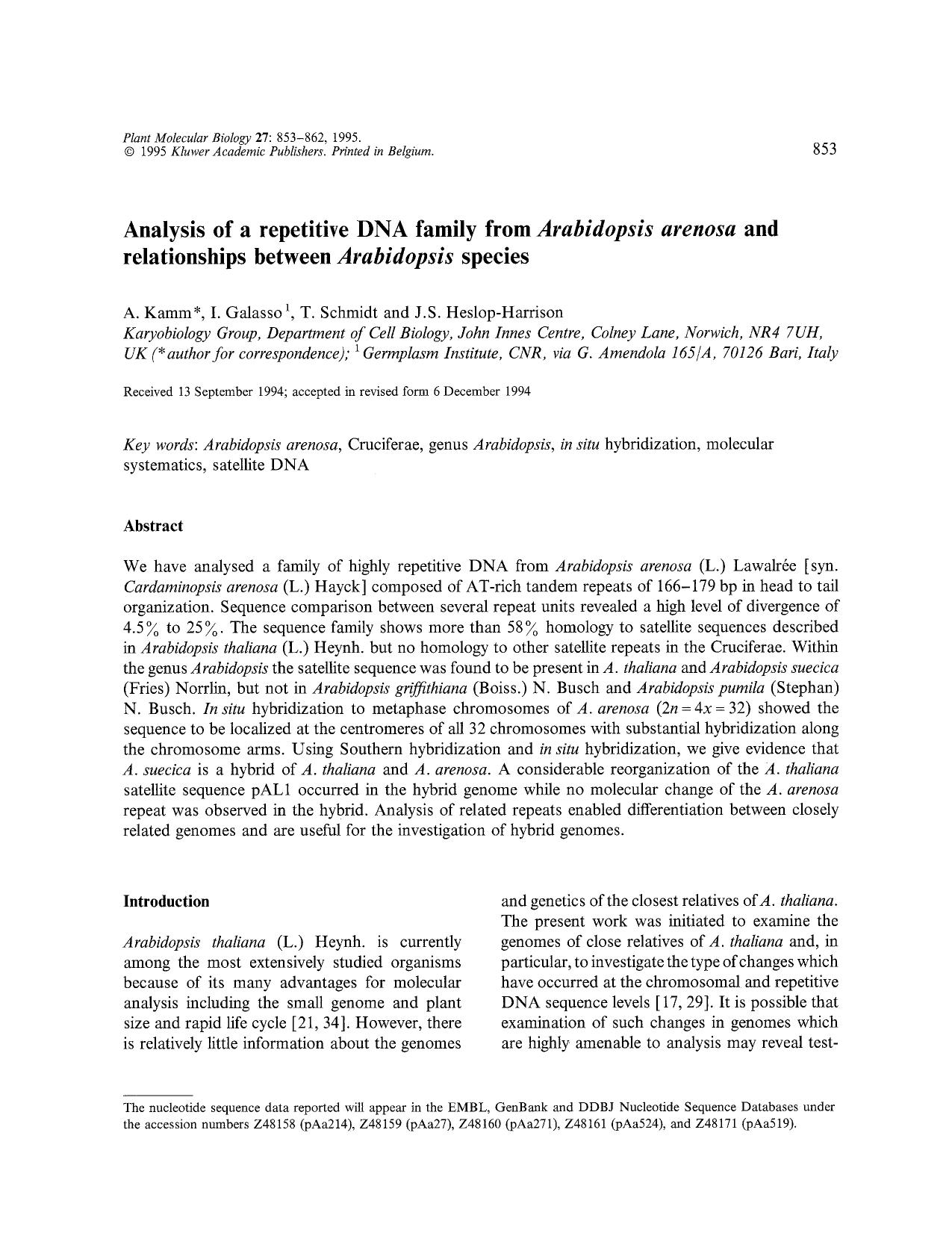Analysis of a repetitive DNA family from <Emphasis Type="Italic">Arabidopsis arenosa <Emphasis> and relationships between <Emphasis Type="Italic">Arabidopsis <Emphasis> species by Unknown