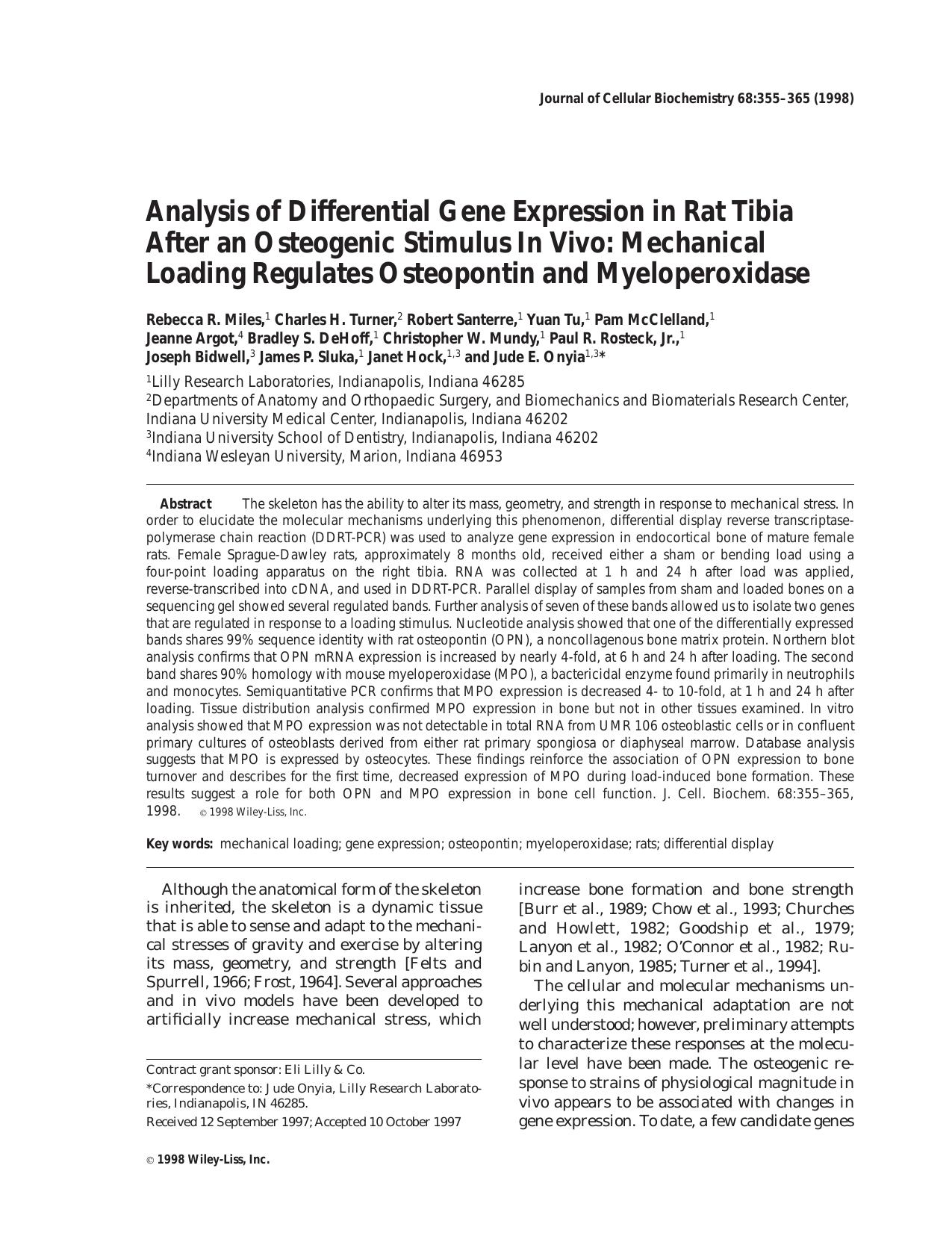 Analysis of differential gene expression in rat tibia after an osteogenic stimulus in vivo: Mechanical loading regulates osteopontin and myeloperoxidase by Unknown