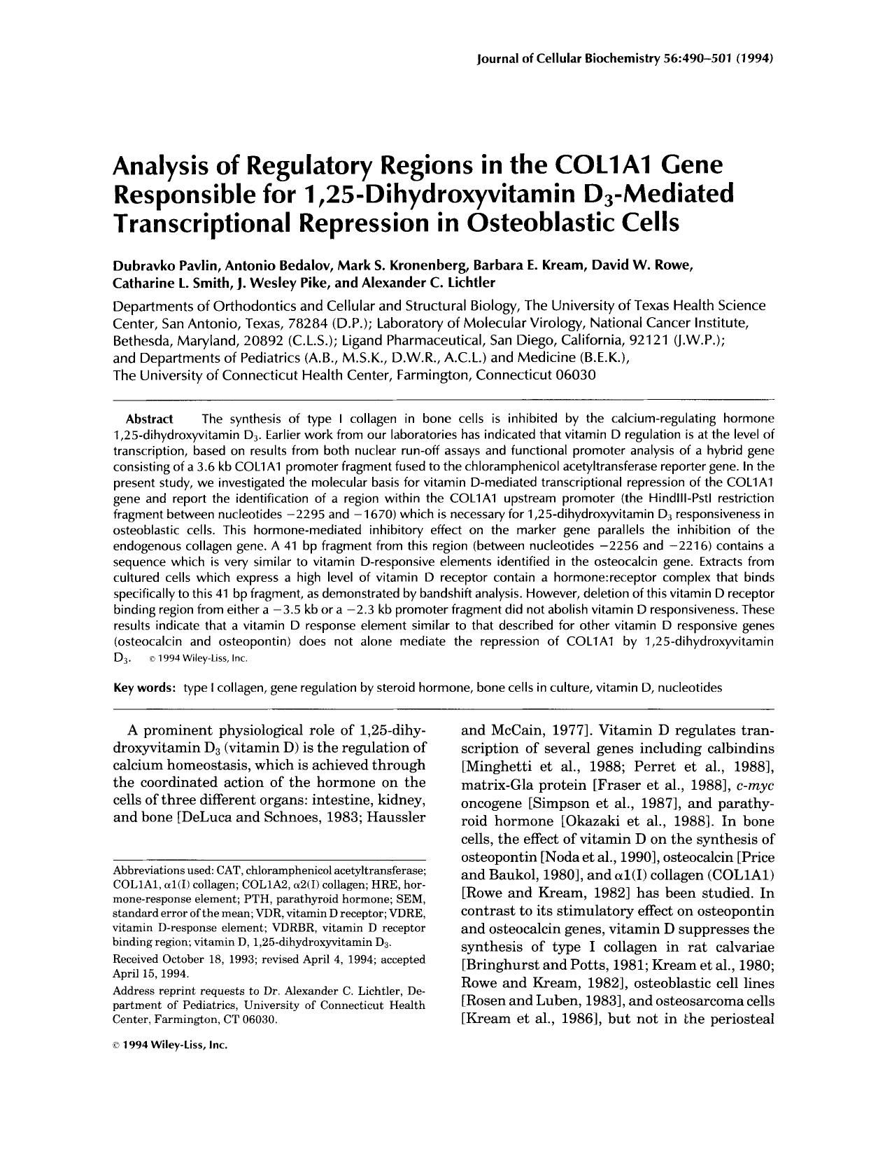 Analysis of regulatory regions in the COL1A1 gene responsible for 1,25-dihydroxyvitamin D3-mediated transcriptional repression in osteoblastic cells by Unknown