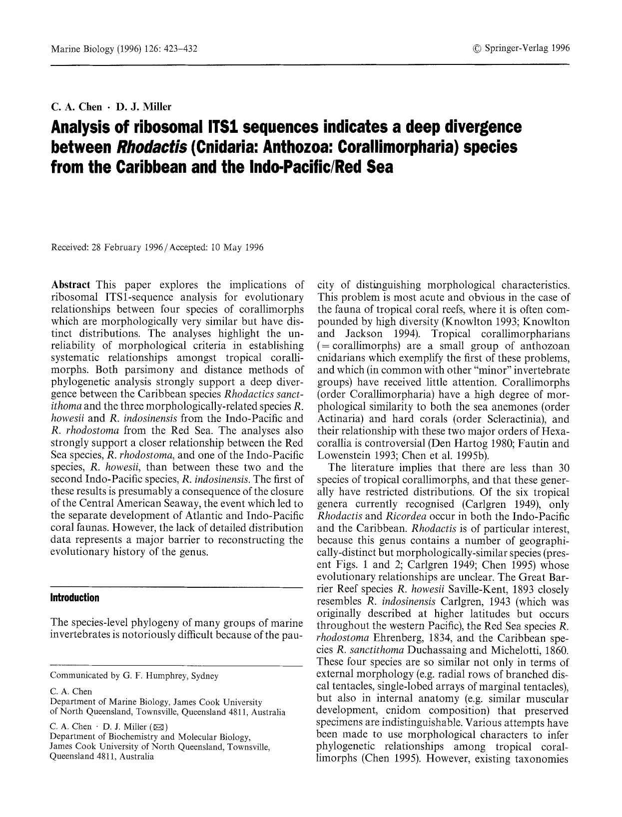 Analysis of ribosomal ITS1 sequences indicates a deep divergence between <Emphasis Type="Italic">Rhodactis<Emphasis> (Cnidaria: Anthozoa: Corallimorpharia) species from the Caribbe by Unknown