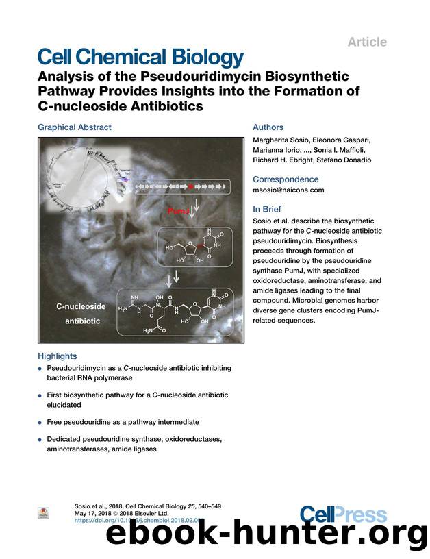 Analysis of the Pseudouridimycin Biosynthetic Pathway Provides Insights into the Formation of C-nucleoside Antibiotics by unknow