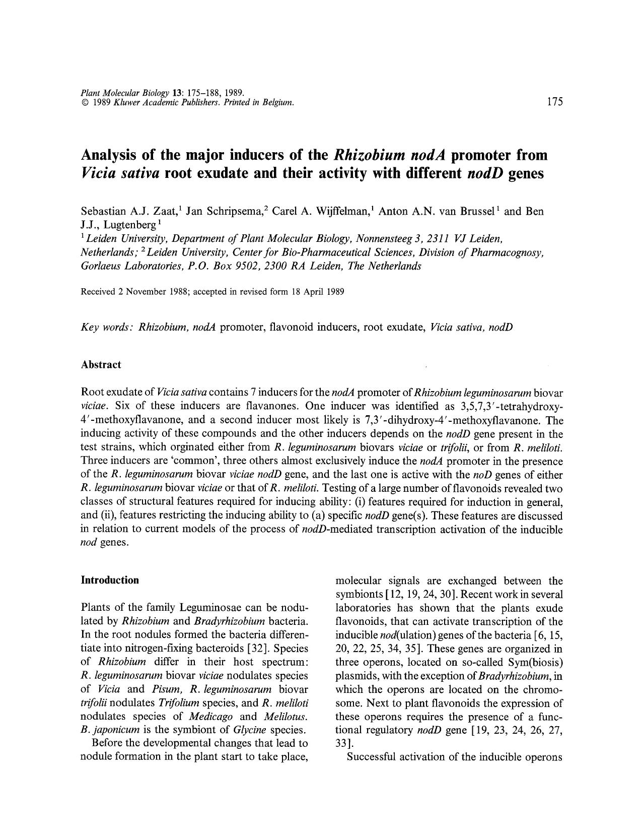 Analysis of the major inducers of the <Emphasis Type="Italic">Rhizobium nodA<Emphasis> promoter from <Emphasis Type="Italic">Vicia sativa<Emphasis> root exudate and their activity by Unknown