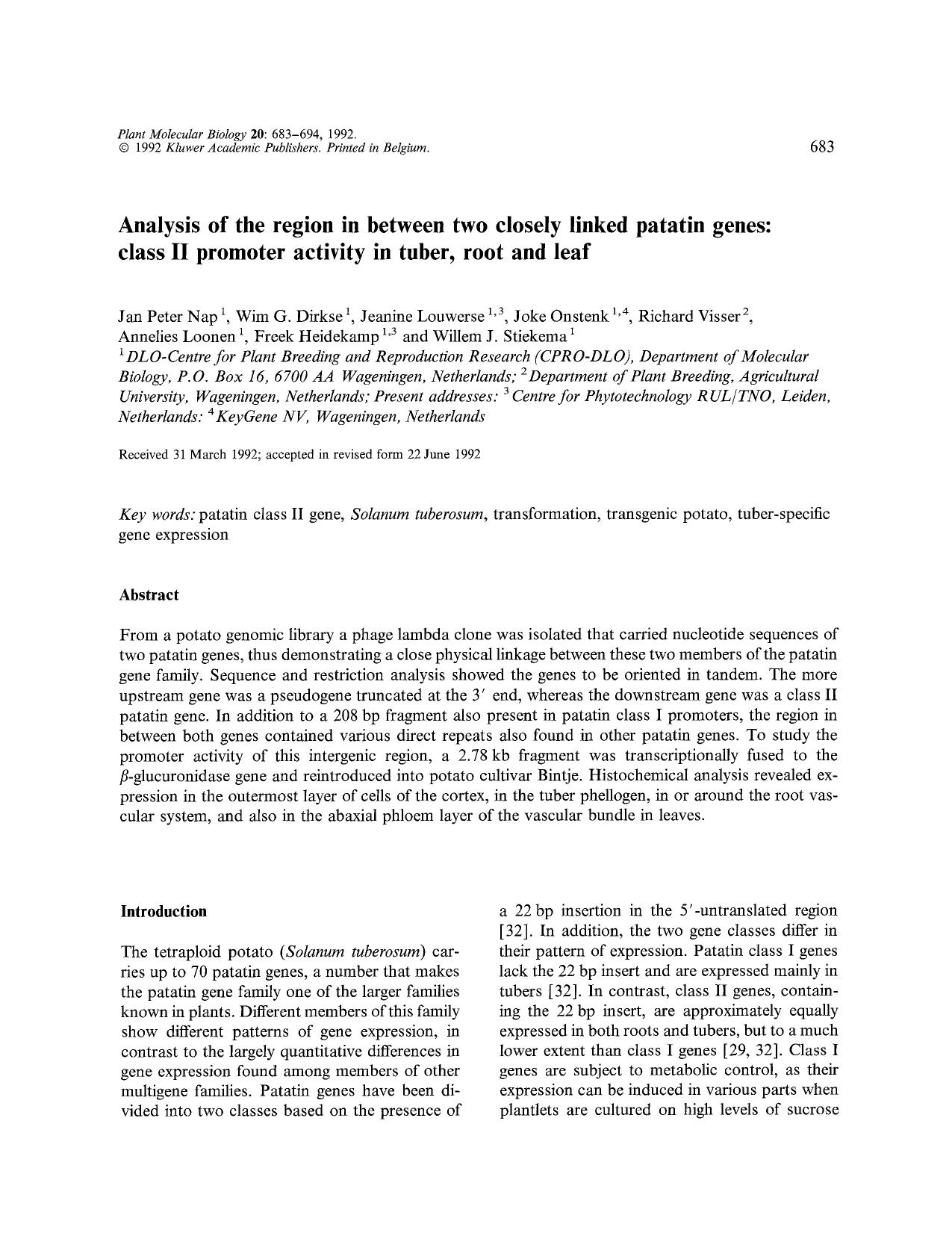 Analysis of the region in between two closely linked patatin genes: class II promoter activity in tuber, root and leaf by Unknown
