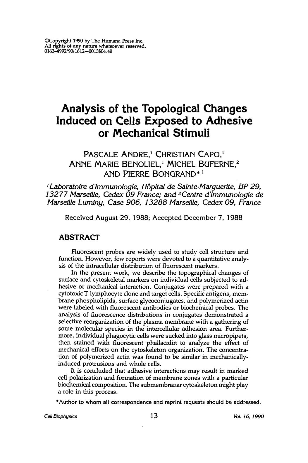 Analysis of the topological changes induced on cells exposed to adhesive or mechanical stimuli by Unknown