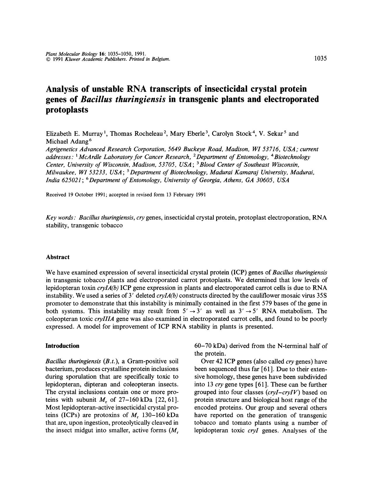 Analysis of unstable RNA transcripts of insecticidal crystal protein genes of <Emphasis Type="Italic">Bacillus thuringiensis<Emphasis> in transgenic plants and electroporated protoplasts by Unknown