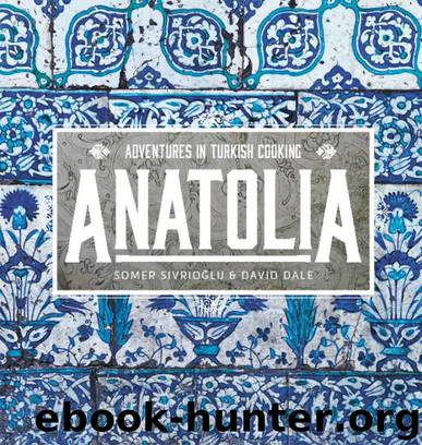 Anatolia: Adventures in Turkish Cooking by David Dale & Somer Sivriolgu