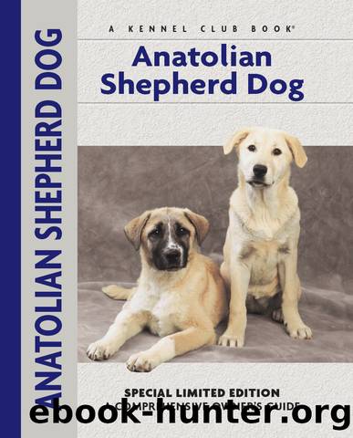 Anatolian Shepherd Dog by Richard G. Beauchamp