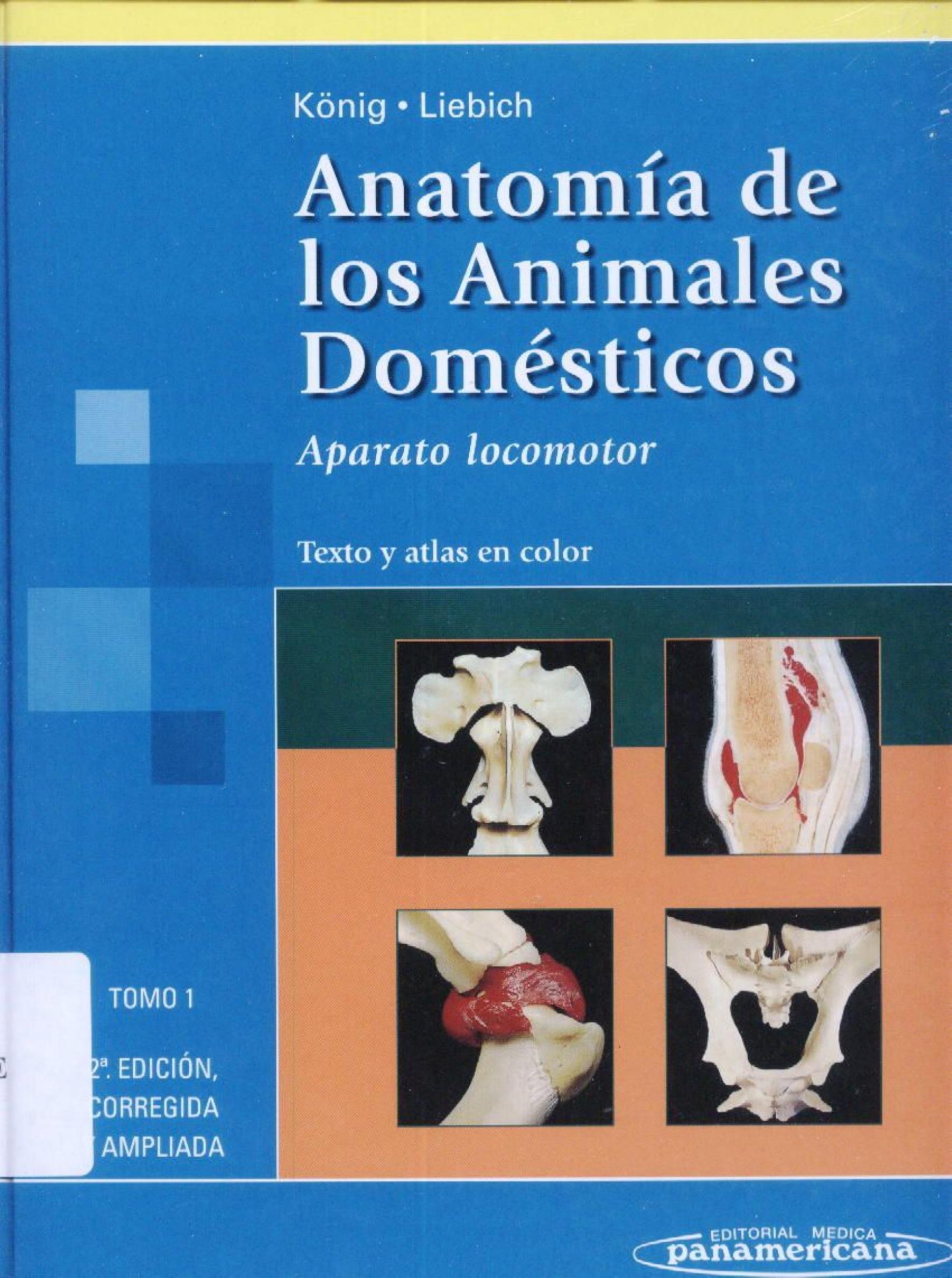 Anatomia De Los Animales Domesticos/ Anatomy of the Domestic Animals: Texto Y Atlas En Color by Unknow